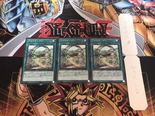 アロマガーデン ノーマル 3枚セット てら