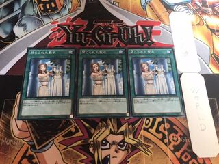 禁じられた聖衣 ノーマル 3枚セット てら