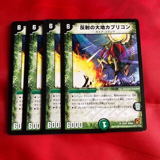 反射の大地カプリコン