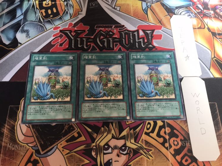 増草剤 ノーマル 3枚セット てら