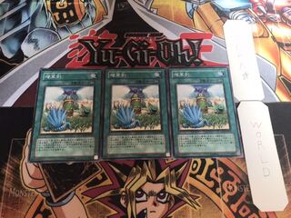 増草剤 ノーマル 3枚セット てら