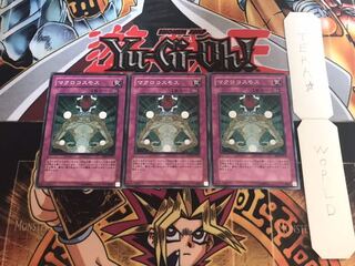 マクロコスモス ノーマル 3枚セット てら