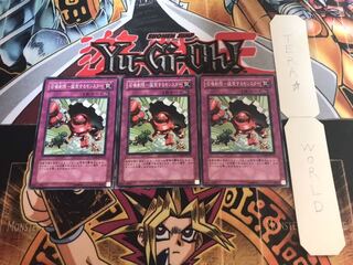 召喚制限-猛突するモンスター ノーマル 3枚セット てら