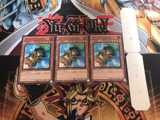 ファイバーポッド ノーマル 3枚セット てら