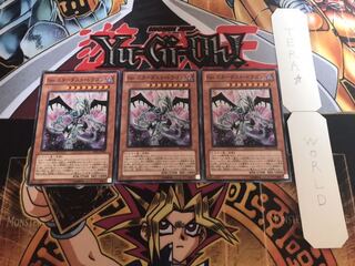 Sin スターダスト・ドラゴン ノーマル 3枚セット てら