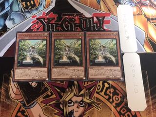 アロマセラフィ-アンゼリカ ノーマル 3枚セット てら