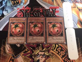 キラー・トマト ノーマル 3枚セット てら