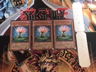 サクリファイス・ロータス ノーマル 3枚セット てら