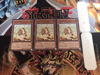 Madolce Croissant, normal, set of 3, Terra 3枚