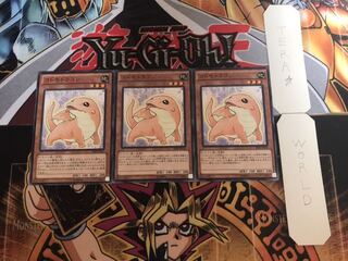 コドモドラゴン ノーマル 3枚セット てら