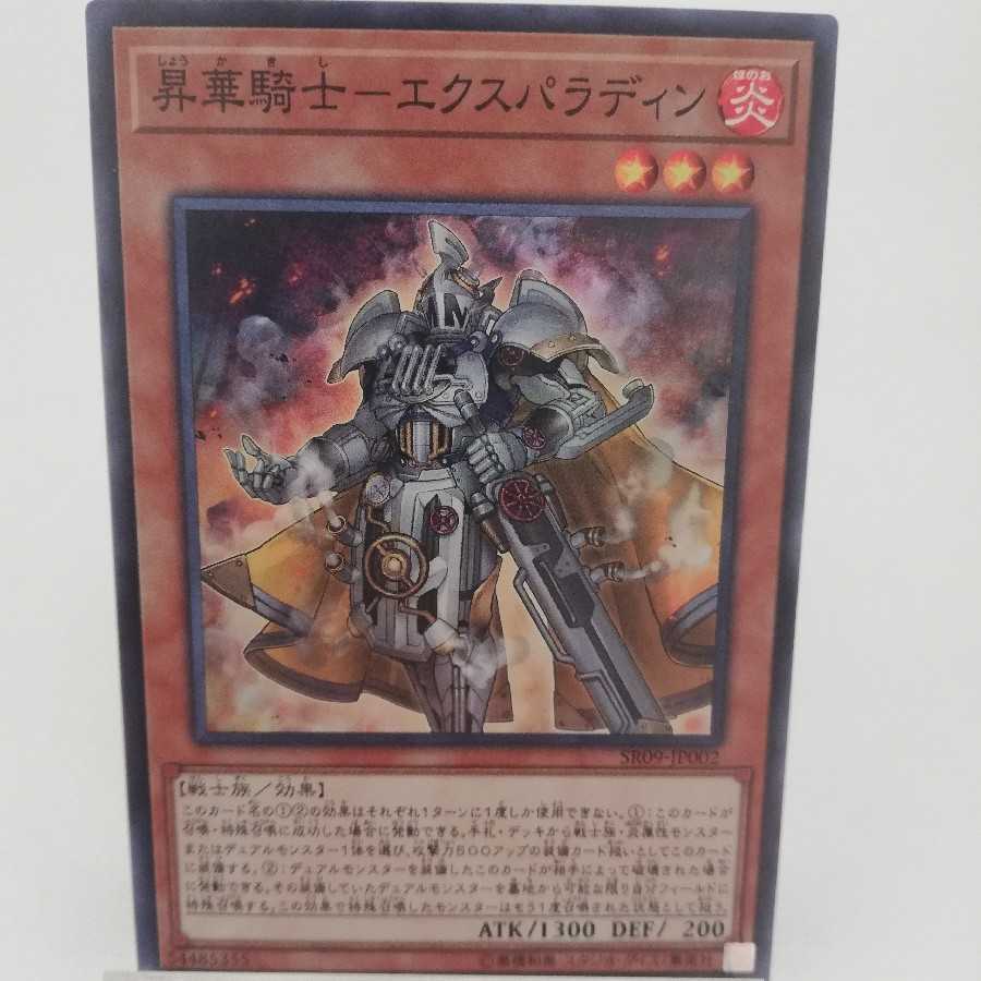 昇華騎士-エクスパラディン スーパーレア