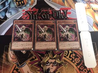 薔薇の聖騎士 ノーマル 3枚セット てら