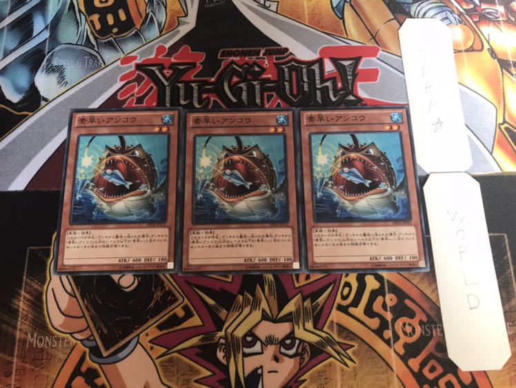 素早いアンコウ ノーマル 3枚セット てら