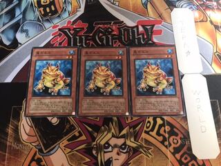 鬼ガエル ノーマル 3枚セット てら