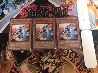 勝利の導き手フレイヤ ノーマル 3枚セット てら