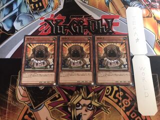 横綱犬 ノーマル 3枚セット てら