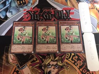 森の聖獣 ヴァレリフォーン ノーマル 3枚セット てら