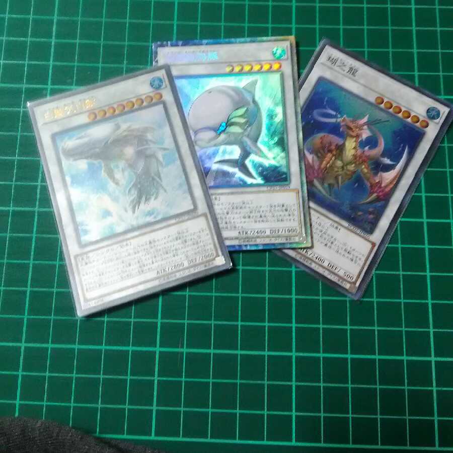 白闘気白鯨　白闘気海豚　
瑚之龍