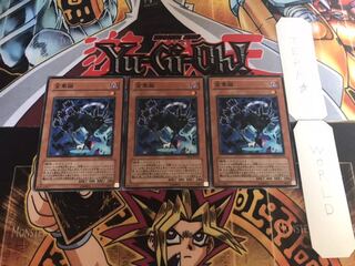 金華猫 ノーマル 3枚セット てら