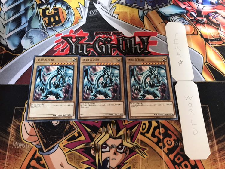 青眼の白龍 DP20 ノーマル 3枚セット てら