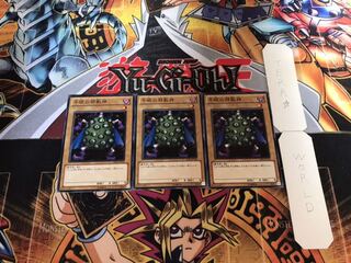 千眼の邪教神 ノーマル 3枚セット てら