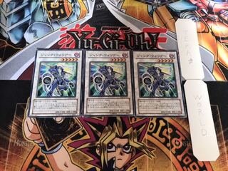 Junk Warrior Normal, set of 3, Tera