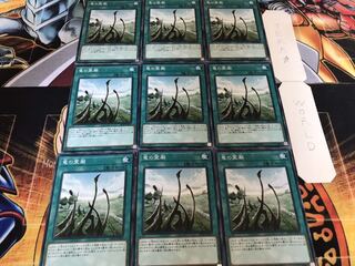 竜の霊廟 ノーマル 9枚セット てら