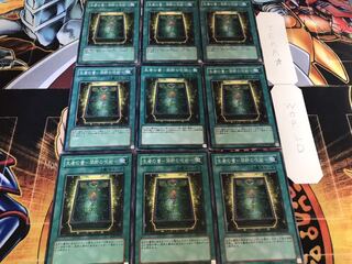 生者の書-禁断の呪術- ノーマル 9枚セット てら