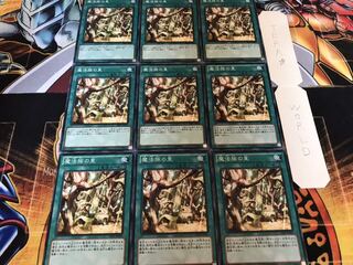 Secret Village of the Spellcasters Normal 9-card set Tera