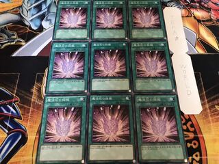 魔法石の採掘 ノーマル 9枚セット てら