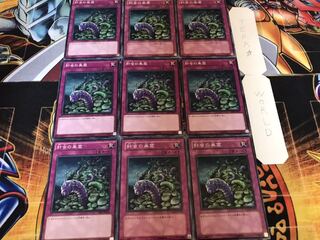 針虫の巣窟 ノーマル 9枚セット てら