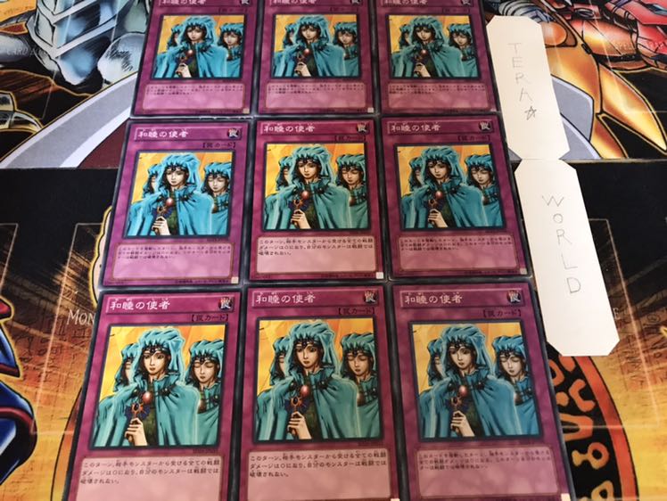 Waboku Normal 9-piece set Tera