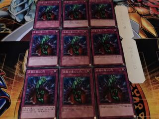 奈落の落とし穴 ノーマル 9枚セット てら