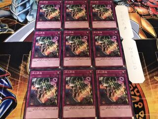 神の摂理 ノーマル 9枚セット てら