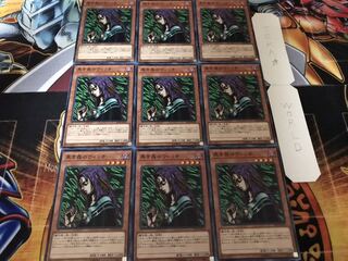 黒き森のウイッチ ノーマル 9枚セット てら