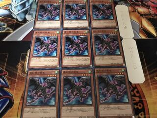 真紅眼の飛竜 ノーマル 9枚セット てら