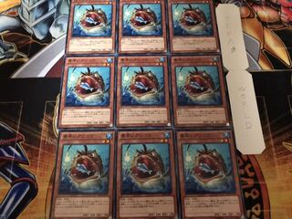 素早いアンコウ ノーマル 9枚セット てら