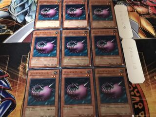 ニードルワーム ノーマル 9枚セット てら