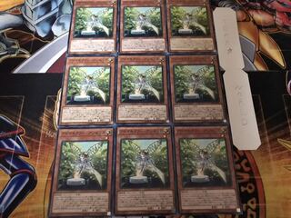 アロマセラフィ-アンゼリカ ノーマル 9枚セット てら