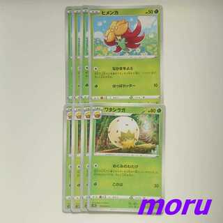 ワタシラガ めぐみのわたげ 進化ライン セット シールド