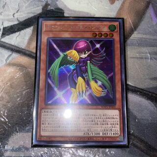 トゥーン・ハーピィ・レディ