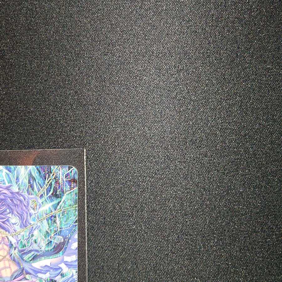 神界獣 フェンリル VR