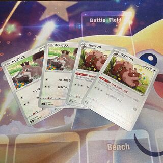 ホシガリス ヨクバリス　セット