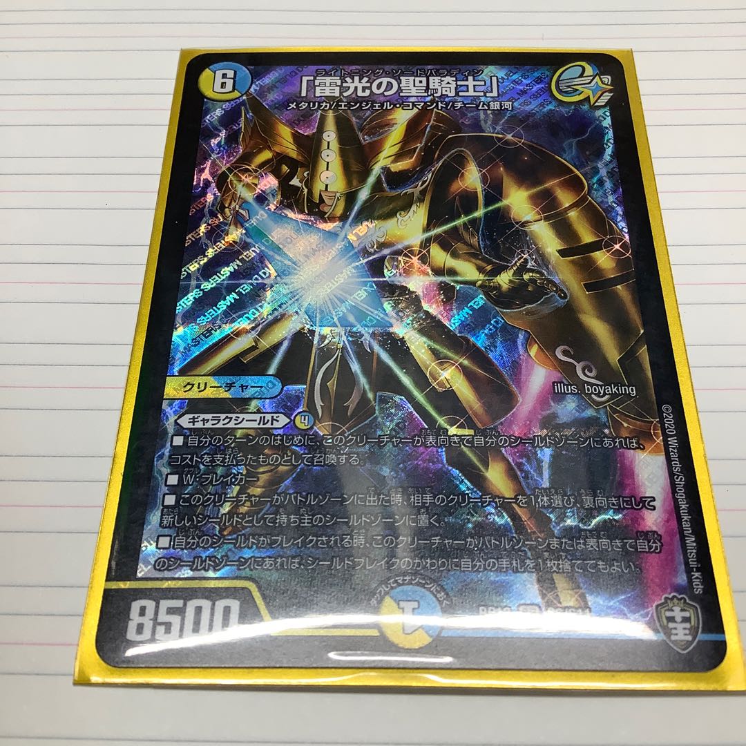 「雷光の聖騎士」とおまけ　プロフ必読