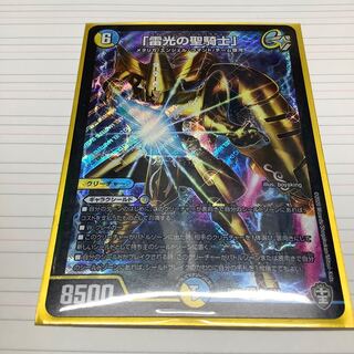 「雷光の聖騎士」とおまけ　プロフ必読