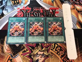 野生解放 レア 3枚セット てら