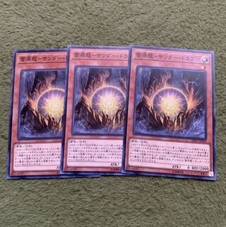 雷源龍-サンダー・ドラゴン ノーマル3枚