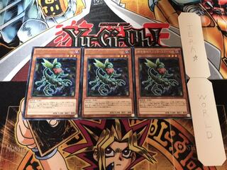 捕食植物オフリス・スコーピオ レア 3枚セット てら