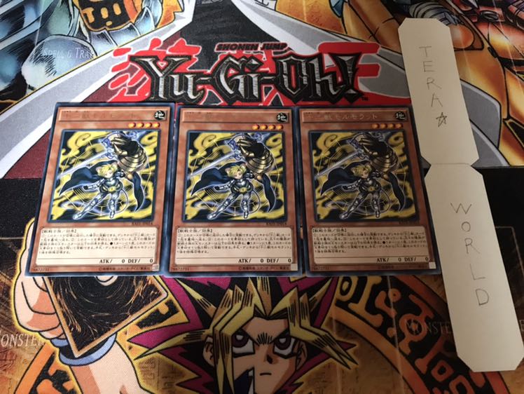 十二獣モルモラット レア 3枚セット てら