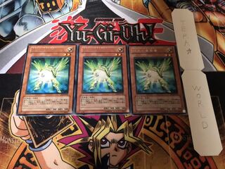 緑光の宣告者 レア 3枚セット てら